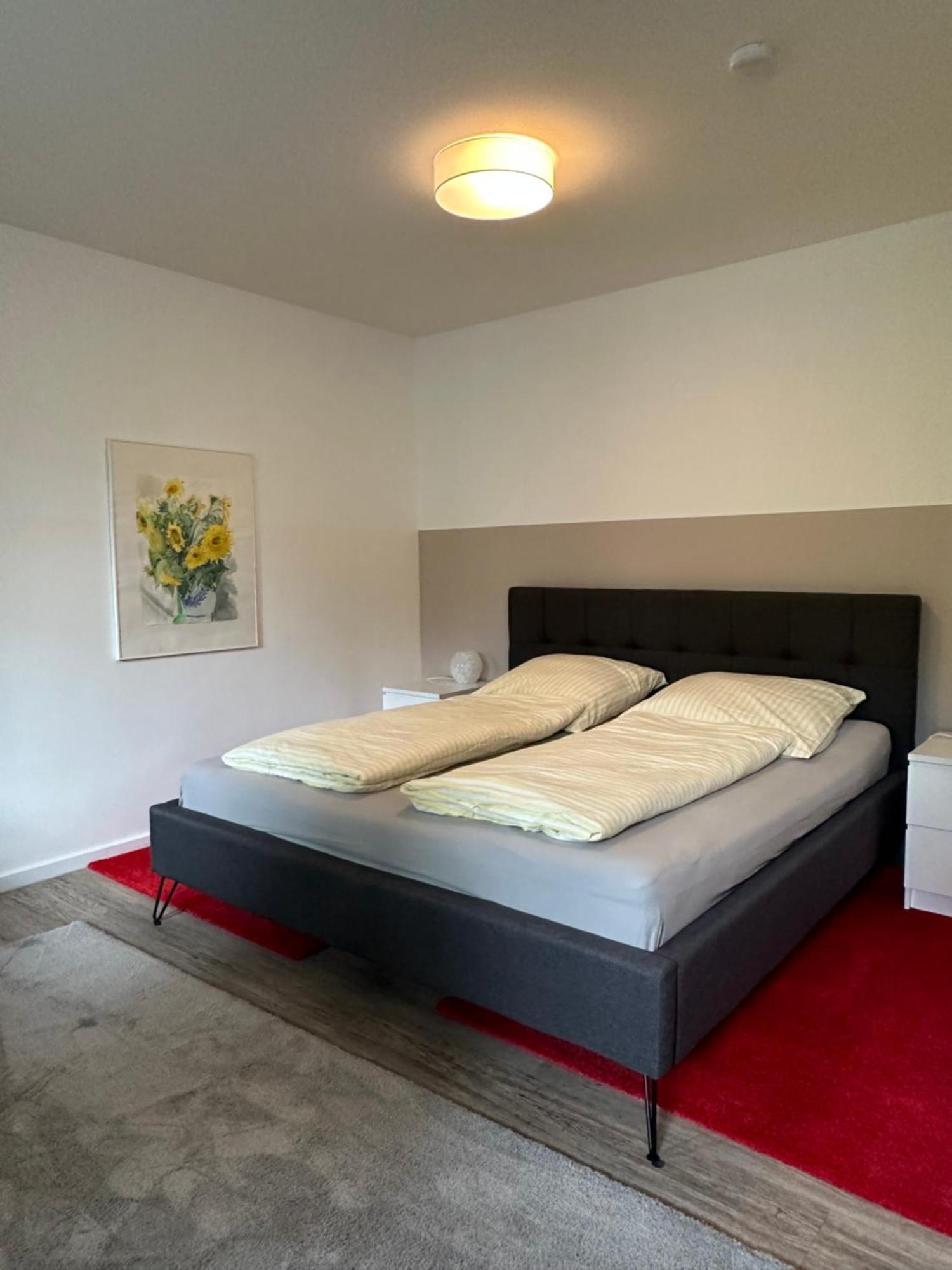 Am Kleinen Muehlenteich - Zentrale Ruhige Lage Mit Parkplatz Und Fahrraedern Apartment เฟลนส์บวร์ก ภายนอก รูปภาพ